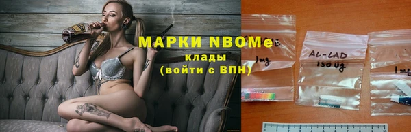 ГАЛЛЮЦИНОГЕННЫЕ ГРИБЫ Алзамай