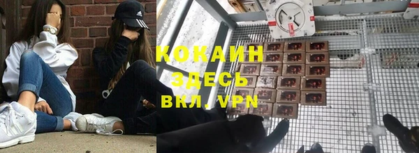 ГАЛЛЮЦИНОГЕННЫЕ ГРИБЫ Алзамай