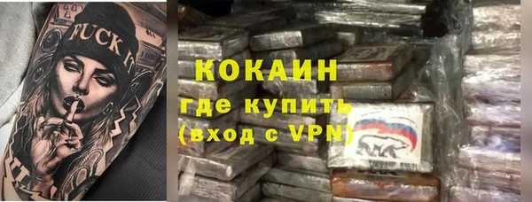 ГАЛЛЮЦИНОГЕННЫЕ ГРИБЫ Алзамай