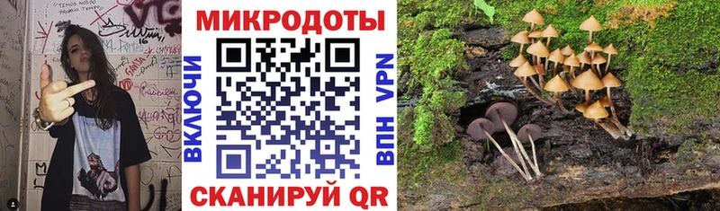 сколько стоит  Лихославль  OMG ссылка  Псилоцибиновые грибы мухоморы 